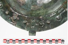 Foto von Bronzebreitrandschale (NHMW-PRAE-025600)